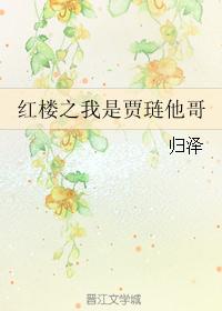 红楼之我是贾琏他哥封面