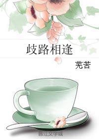 歧路相逢封面
