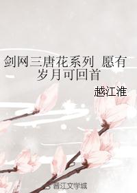 剑网三唐花系列 愿有岁月可回首封面