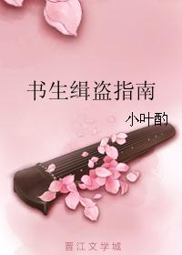 书生缉盗指南封面