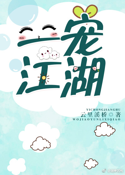 一宠江湖封面
