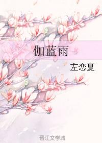 伽蓝雨封面