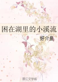 困在湖里的小溪流封面