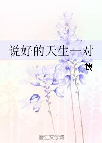 说好的天生一对封面