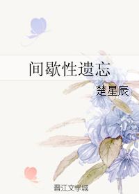 间歇性遗忘封面