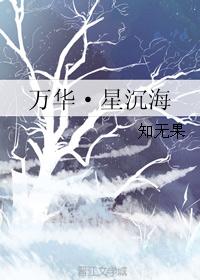 万华·星沉海封面