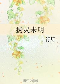扬灵未明封面