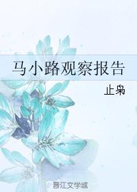 马小路观察报告封面