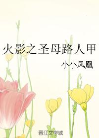 火影之圣母路人甲封面