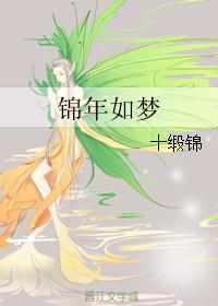 锦年如梦封面