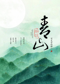 醉扶青山封面
