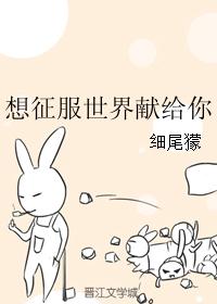 想征服世界献给你封面
