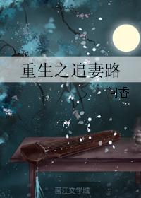 重生之追妻路封面