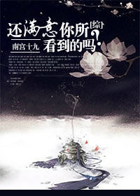 (秦+综)还满意你所看到的吗封面