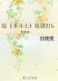 综《圣斗士封面