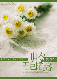 明夕何夕君已陌路下一句封面