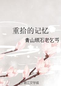 重拾的记忆封面