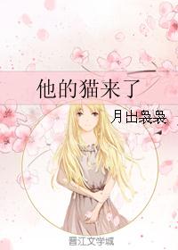 他的猫来了封面