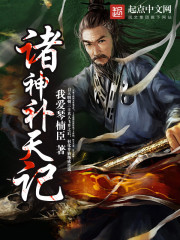 诸神补天记封面