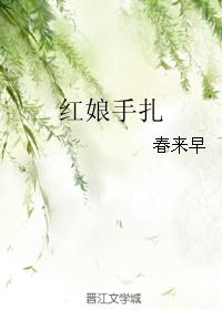 红娘手扎封面