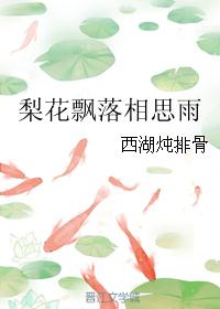 梨花飘落相思雨封面