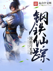 钢铁仙踪封面