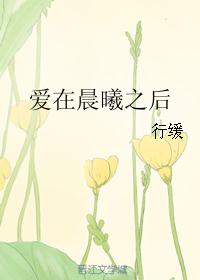 爱在晨曦之后封面