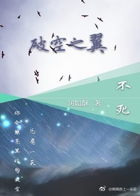 不死——破空之翼封面