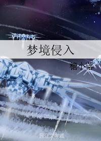 梦境侵入封面