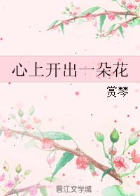心上开出一朵花封面