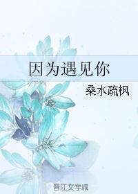 因为遇见你封面