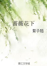 蔷薇花下封面