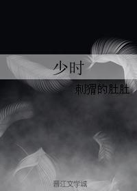 少时封面