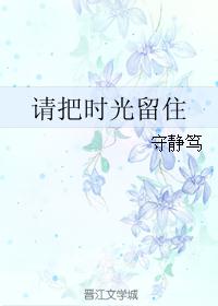 请把时光留住封面