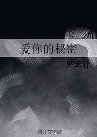 爱你的秘密封面