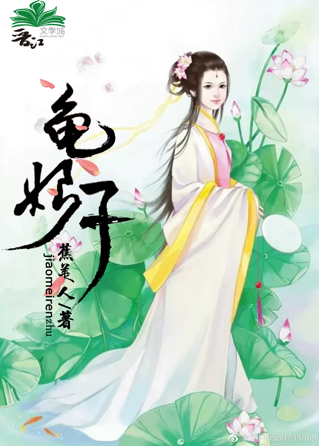 龟娘子封面