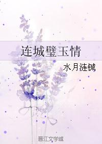 连城璧玉情封面