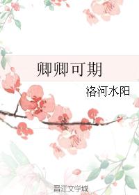 卿卿可期封面