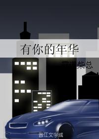 有你的年华封面