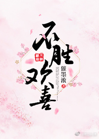 不胜欢喜封面
