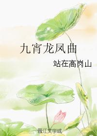 九宵龙凤曲封面
