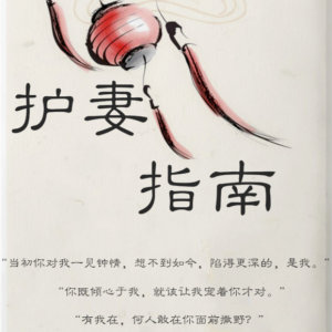 护妻指南封面