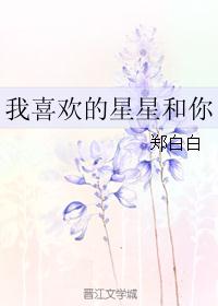 我喜欢的星星和你封面