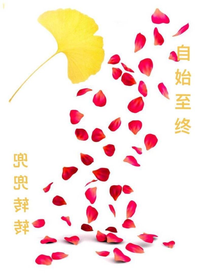 兜兜转转，自始至终封面