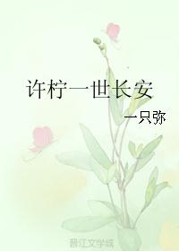 许柠一世长安封面