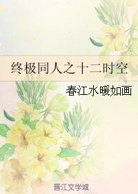 终极同人之十二时空封面