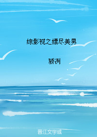 综影视之嫖尽美男封面