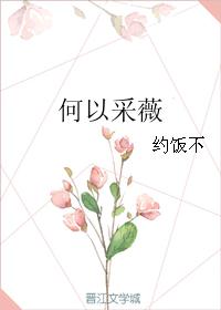 何以采薇封面