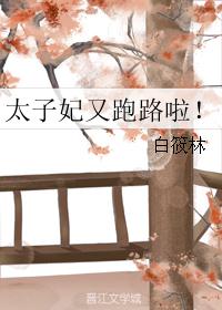 太子妃又跑路啦！封面