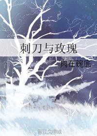 刺刀与玫瑰封面